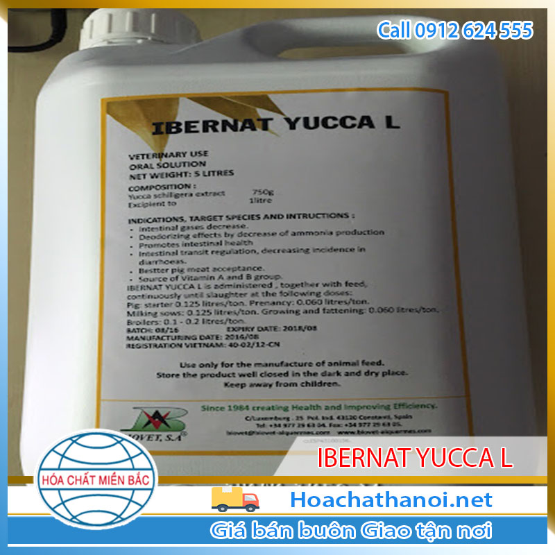 IBERNAT YUCCA L