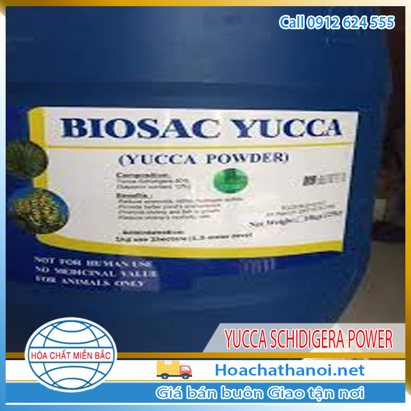 YUCCA SCHIDIGERA POWER